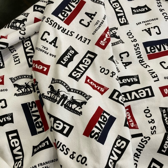 Boys Levi's Fleece Batwing Pullover Hoodie - Picture 11 of 16